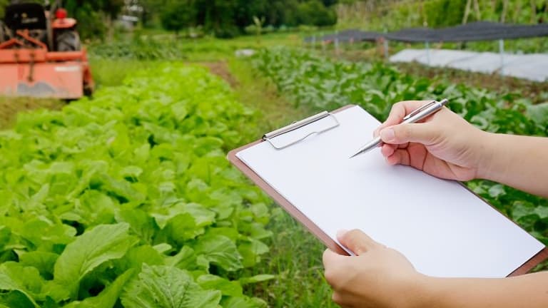 How to Survive a Home-based Business Vacation